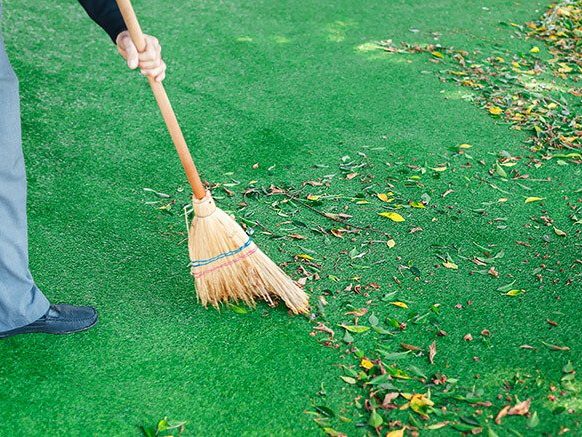 Turf Cleaning Service