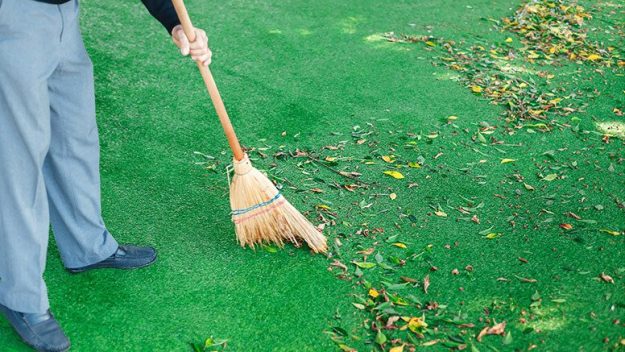 Turf Cleaning Service